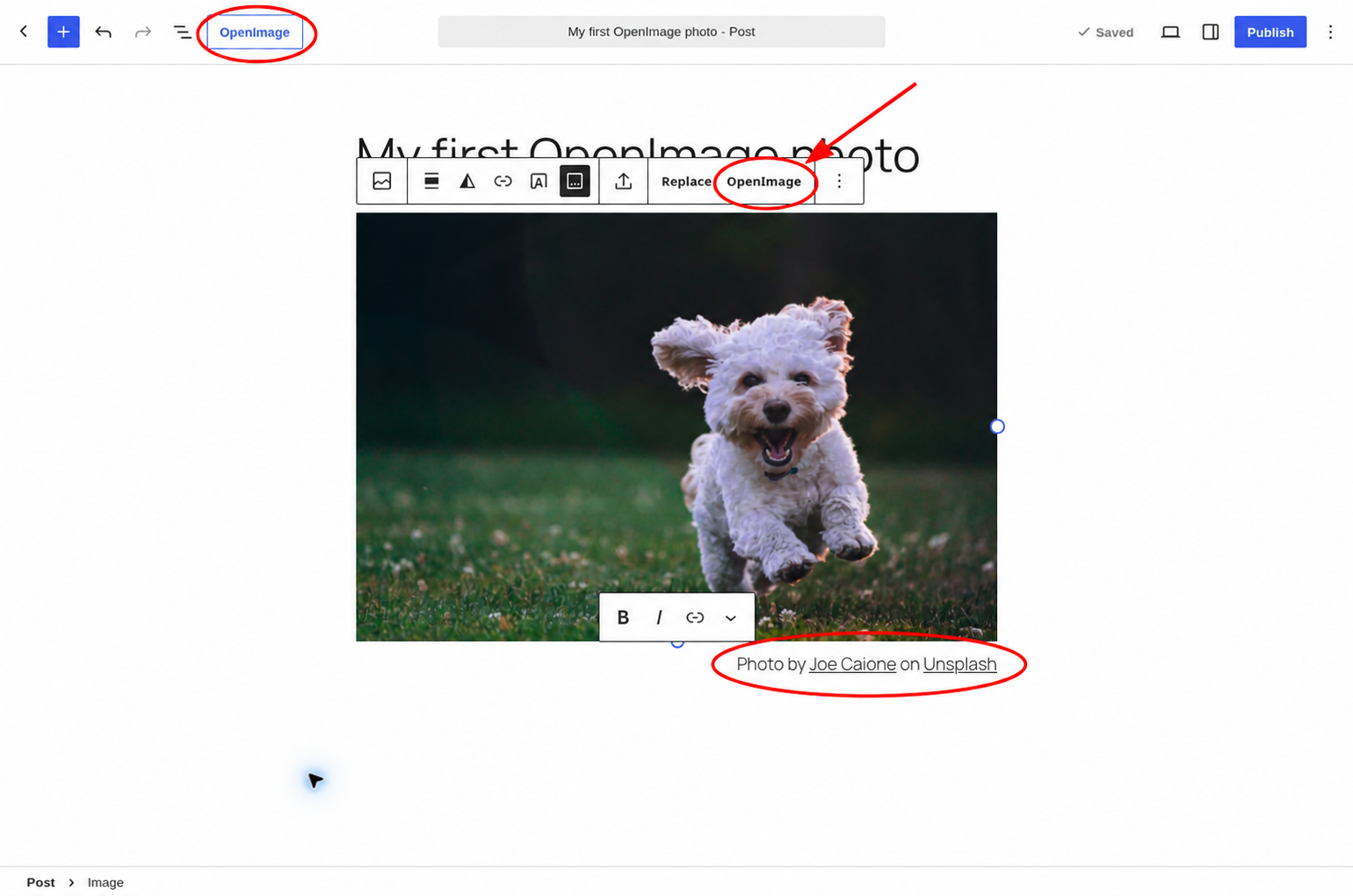 WordPress editor showing an inserted puppy photo, its linked Joe Caione and Unsplash credit beneath the image, and the Pretty Photos replacement control in the image toolbar.