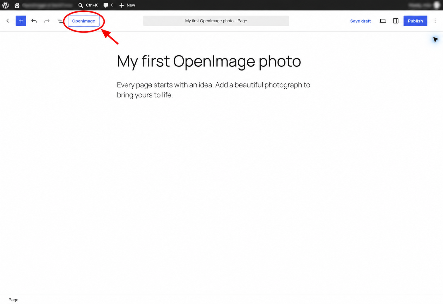 An open WordPress page before a photo is added, with a red circle and arrow highlighting the Pretty Photos button in the top-left editor toolbar. Identifying details are blurred.