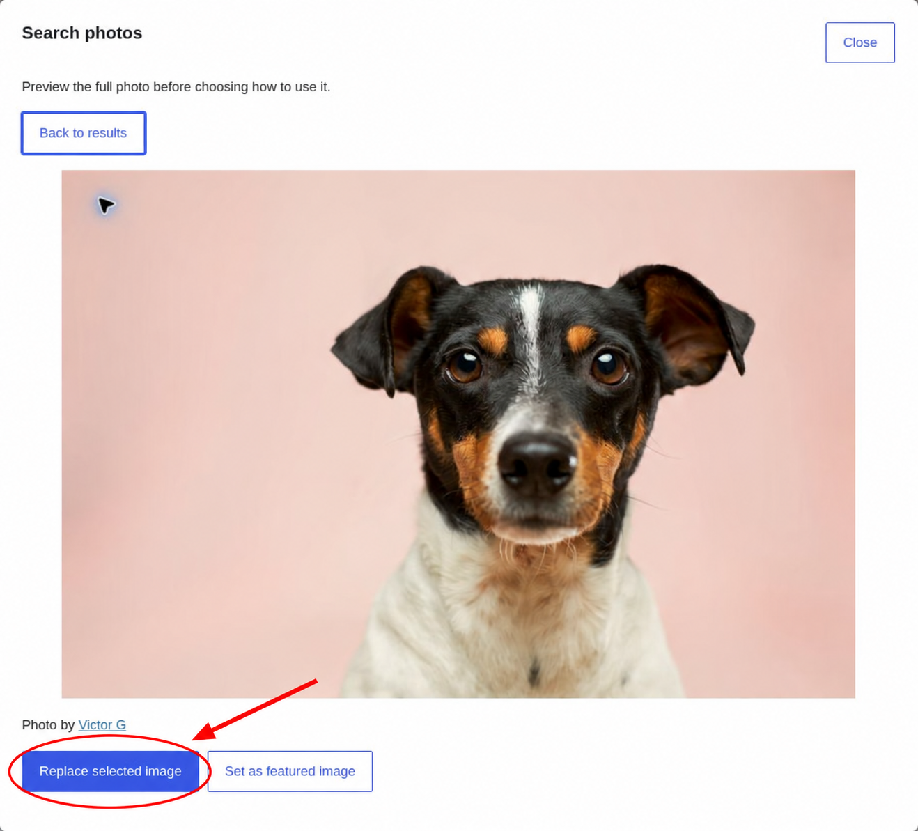 Pretty Photos preview of a dog photographed by Victor G, showing the Replace selected image button.