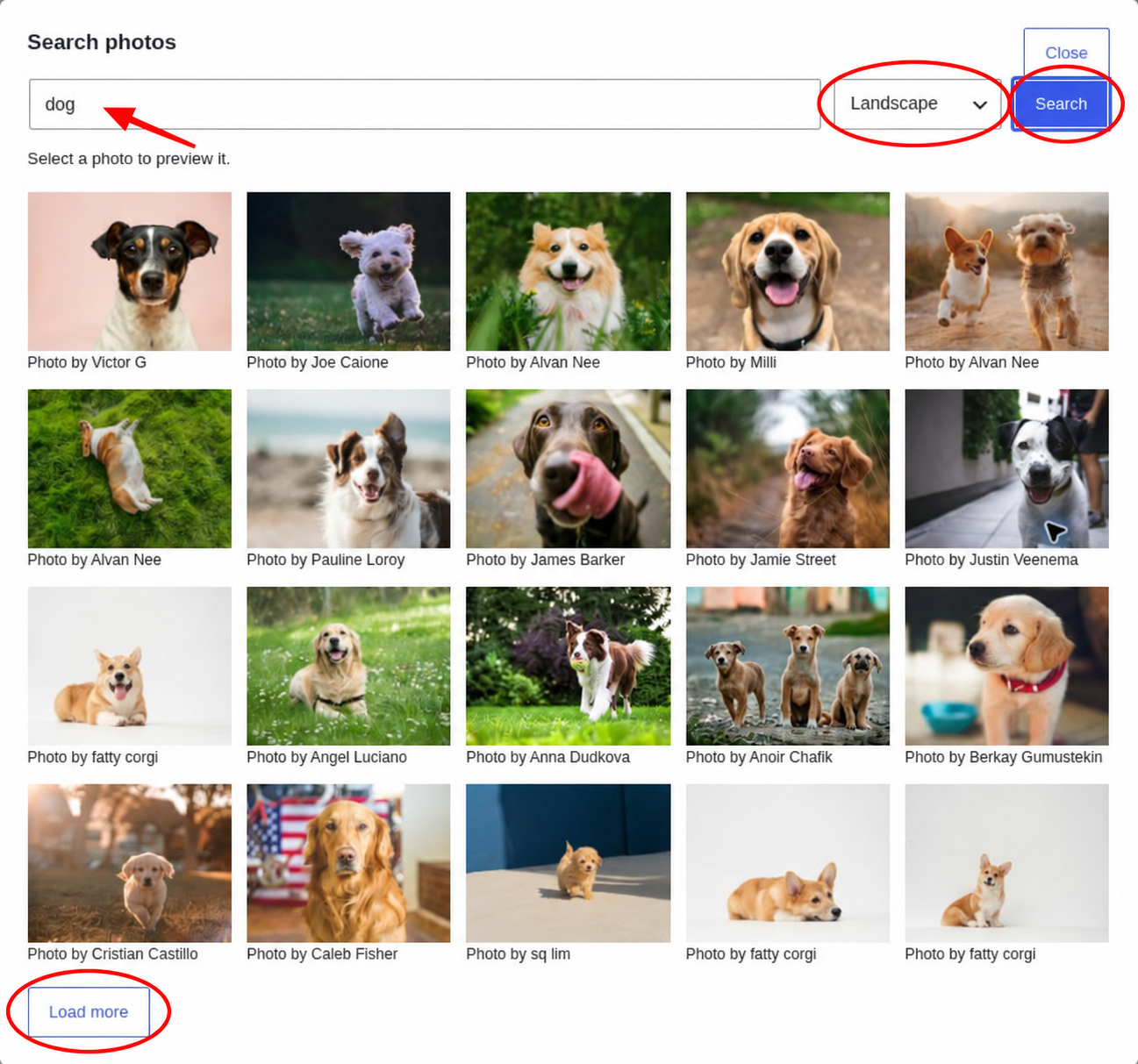 Pretty Photos search window showing the term dog, the Landscape orientation filter, and a grid of dog photographs.